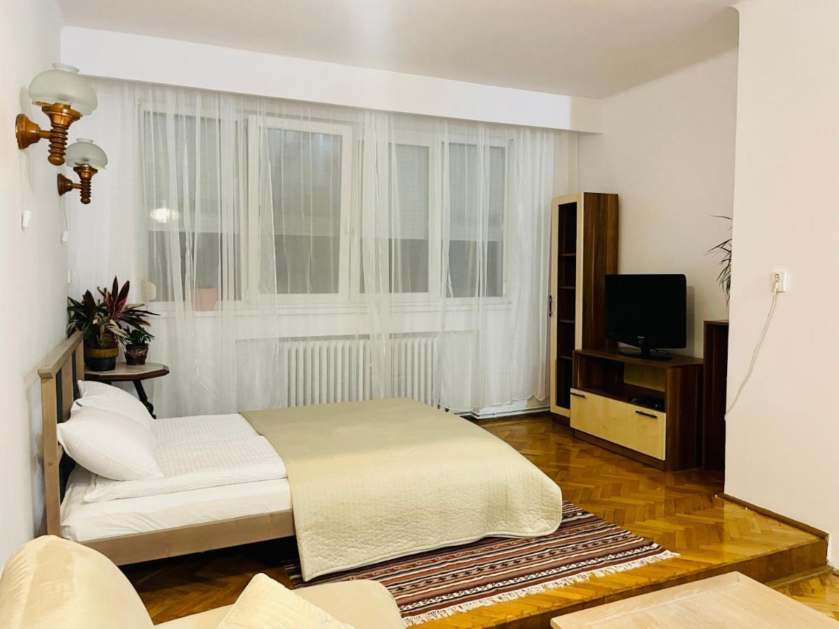 Little Cute Central House Apartment Satu Mare Luaran gambar