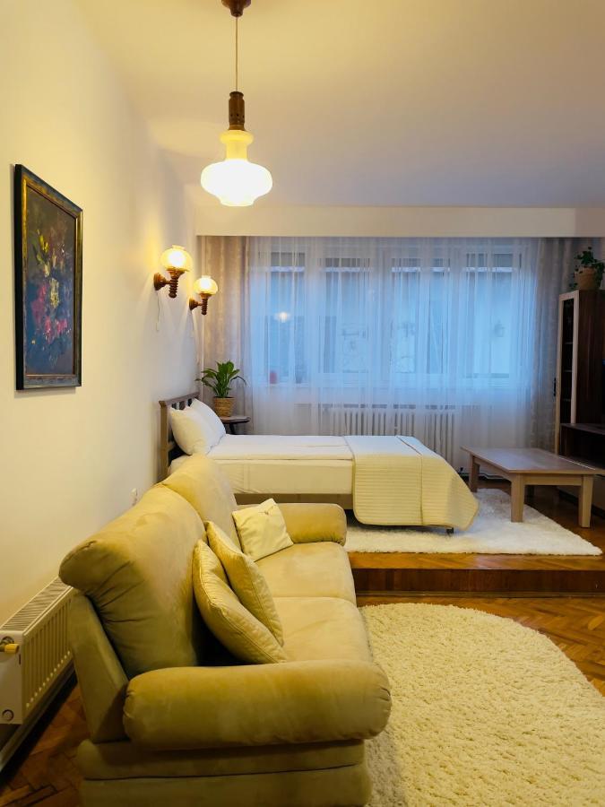 Little Cute Central House Apartment Satu Mare Luaran gambar