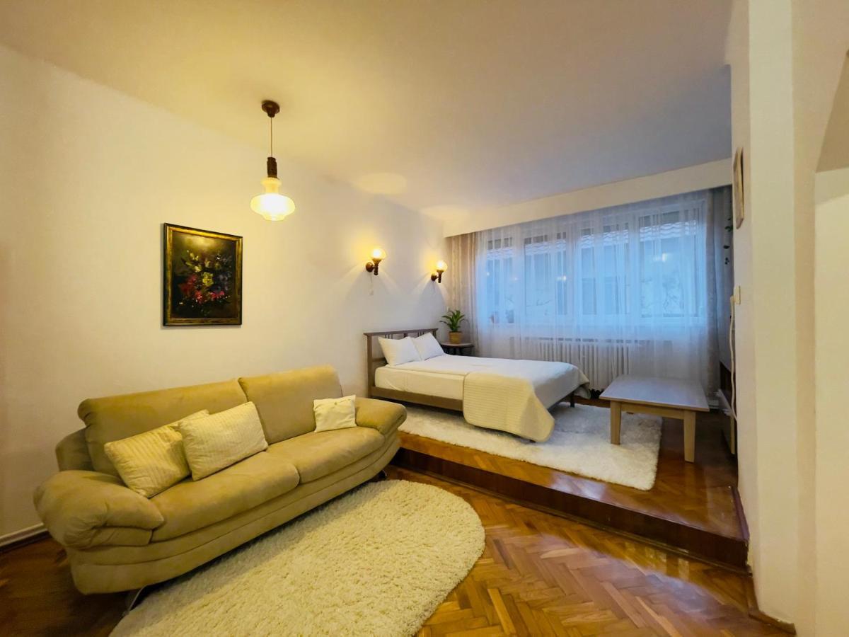 Little Cute Central House Apartment Satu Mare Luaran gambar