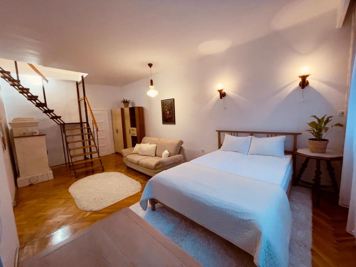 Little Cute Central House Apartment Satu Mare Luaran gambar