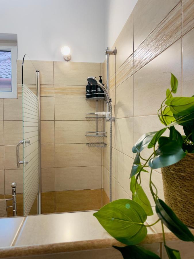 Little Cute Central House Apartment Satu Mare Luaran gambar