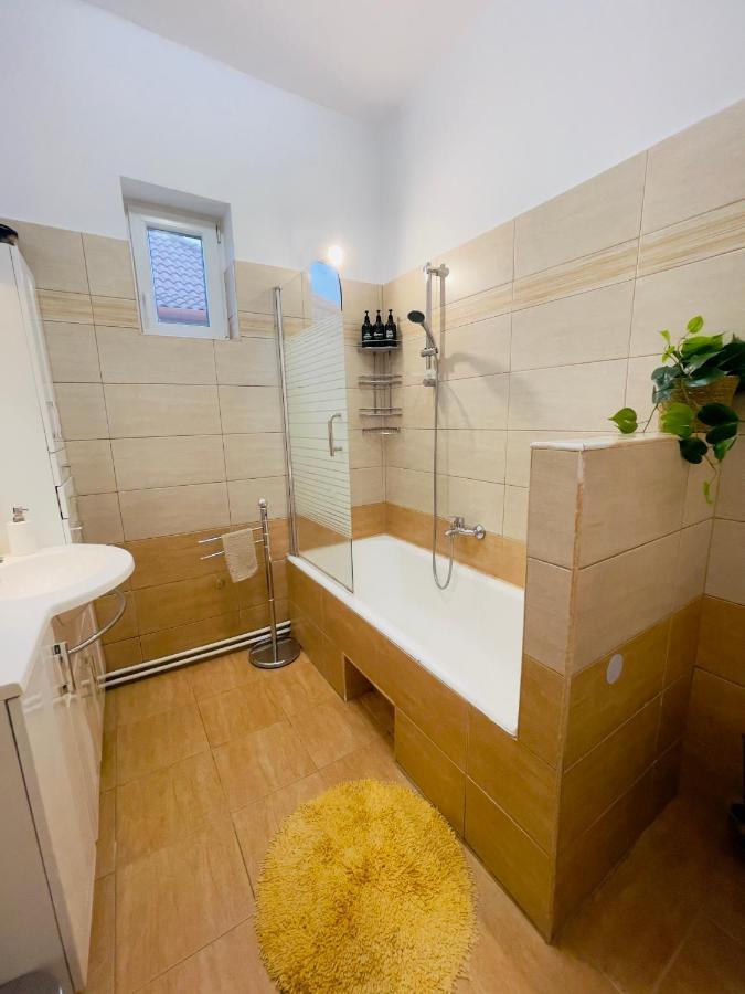Little Cute Central House Apartment Satu Mare Luaran gambar